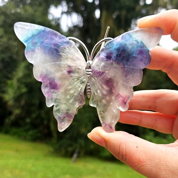 Fluorite butterfly listing - Picture 4 of 4